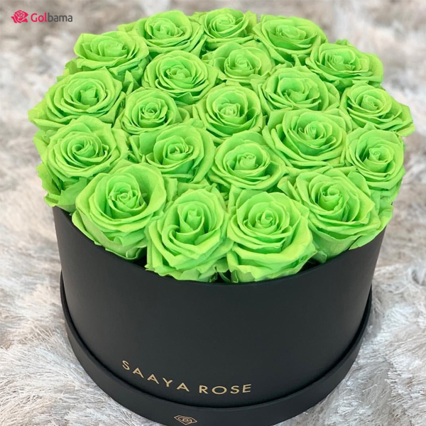 باکس گل رز سبز روز ولنتاین