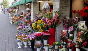 بازارهای گل تهران
