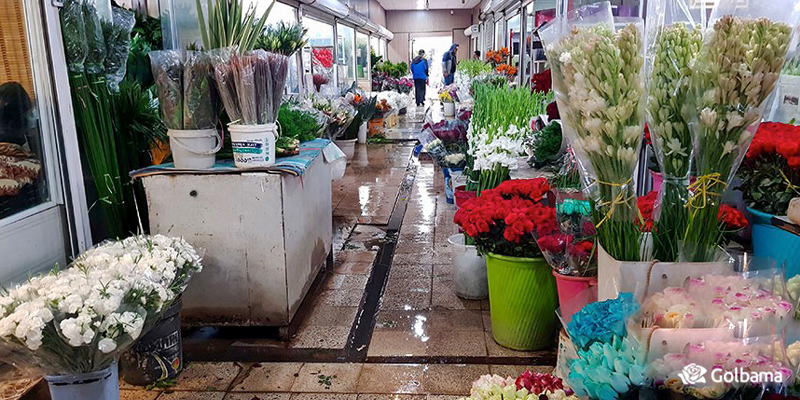 بزرگترین و رنگارنگ ترین بازارهای گل و گیاه در پایتخت