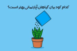 بهترین کود برای گیاهان آپارتمانی چیست: معرفی انواع + روش کوددهی