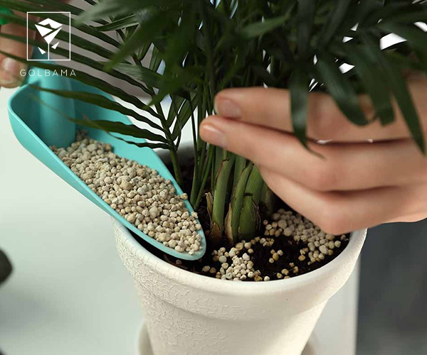 بهترین کودها برای گیاهان آپارتمانی گلدار