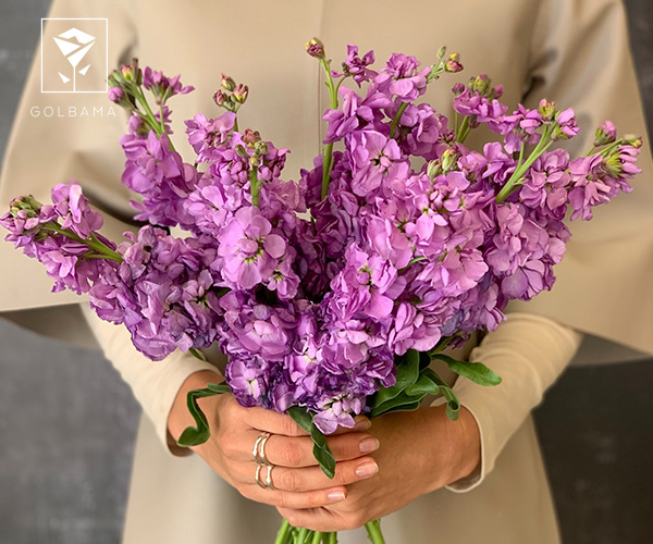 دسته گل شب بو برای دیت اول