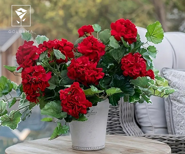 دسته گل شمعدانی برای دیت اول