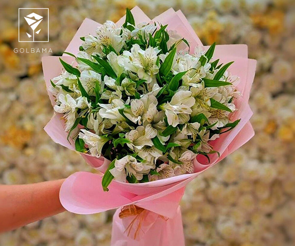 دسته گل آلسترومریا برای دیت اول