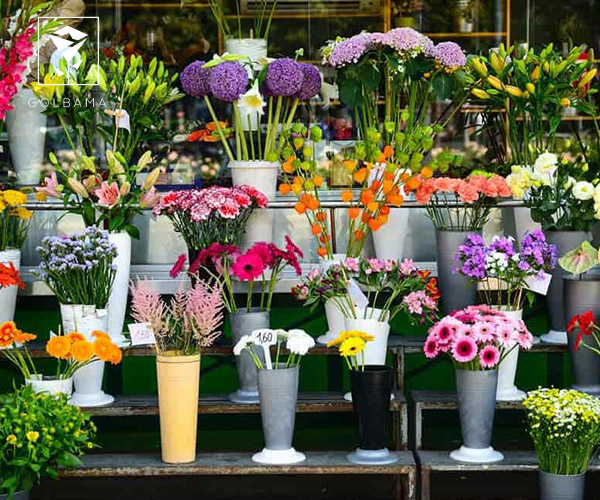 بهترین گل فروشی های شهر تهران