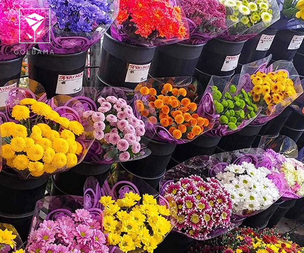 مزایا خرید از فروشی آنلاین گل باما