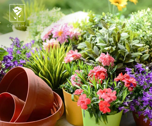 نمونه ای از گل های ارزان