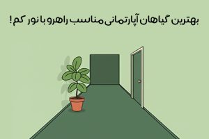گیاهان آپارتمانی مناسب راهرو با نور کم : معرفی 22 گیاه آپارتمانی کم نور + چیدمان