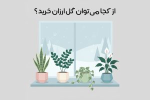 گیاهان آپارتمانی مقاوم به سرما