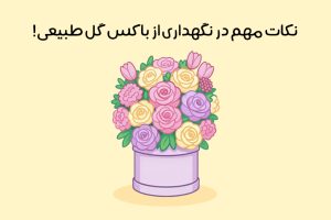 راهنمای نگهداری از باکس گل: 14 ترفند کاربردی + اشتباهات رایج