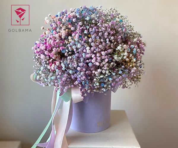 اشتباهات رایج در نگهداری از باکس گل