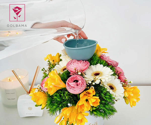 راهنمای نگهداری باکس گل