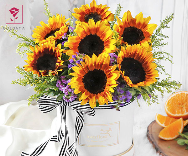 گل آفتابگردان بهترین گل های مناسب روز پدر