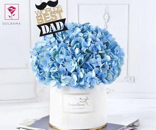 گل ادریسی گل روز پدر