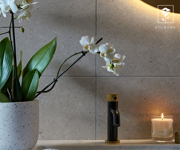 ارکیده گیاه مخصوص دستشویی و حمام