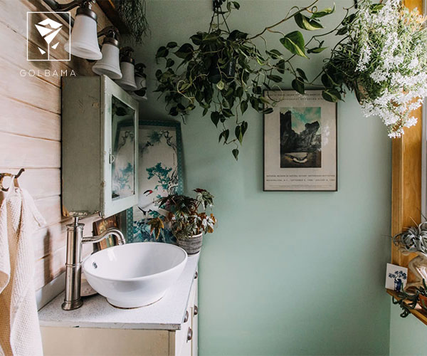 پتوس از بهترین گیاهان مناسب سرویس بهداشتی و حمام