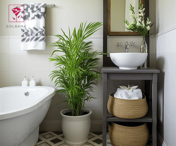 نخل مرداب از گیاهان مقاوم برای سرویس بهداشتی