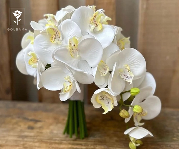 1. گل ارکیده، خاص ترین گل برای روز مهندس