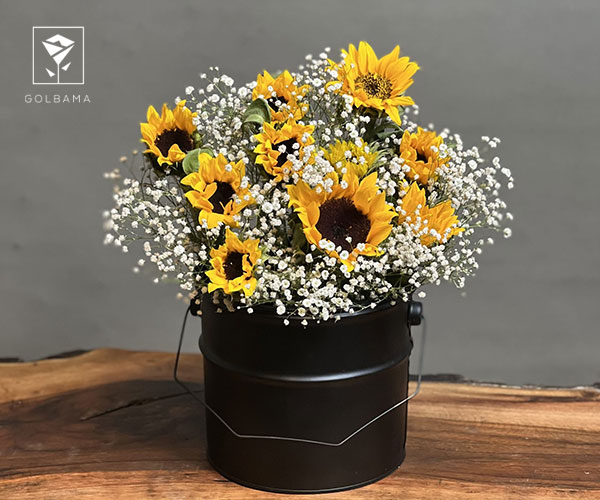 11. آفتاب گردان