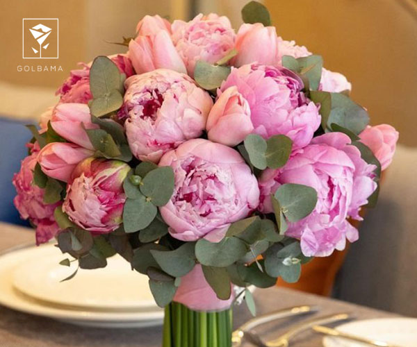 9. صد تومانی (پیونی)