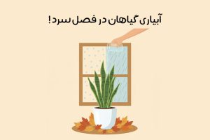 watering-plants-in-autumn