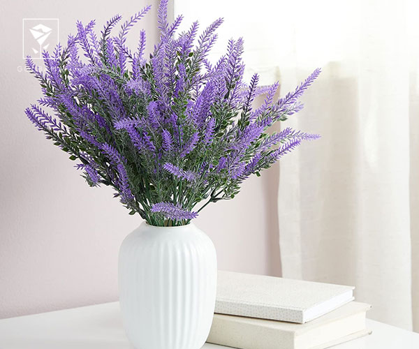 22. اسطوخودوس