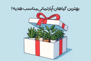 best-indoor-plants-as-gifts