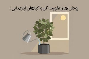 boosting-indoor-plant-growth