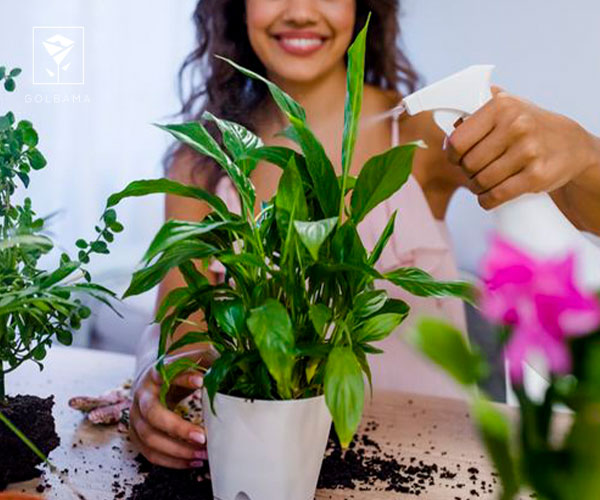 مدیریت آفات گیاهی