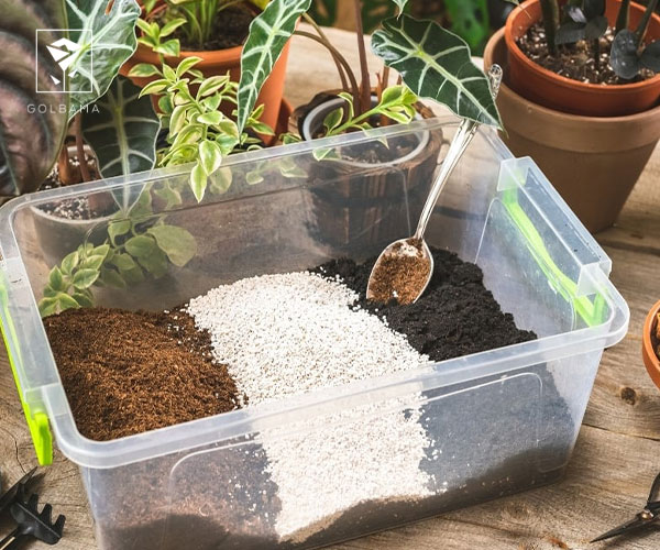 دستهبندی کودهای مؤثر در رشد گیاهان خانگی