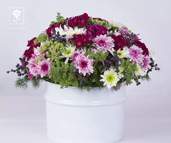 12. گل داوودی