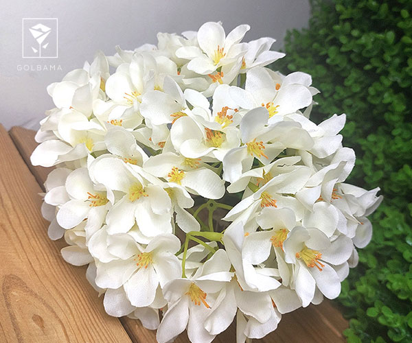 18. گل یاسمن ایرانی از گل های مناسب نوروز