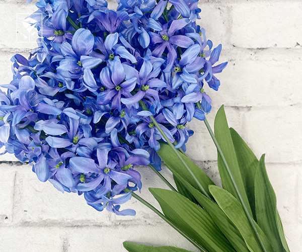 گل سنبل ایرانی: