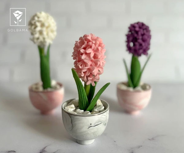 روش نگهداری گل سنبل