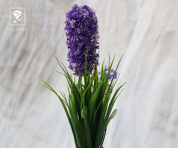 نحوه کاشت گل سنبل