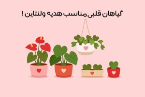 گیاهان-به-شکل-قلب-برای-هدیه-ولنتاین.