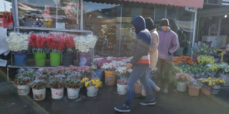 بازار گل محلاتی