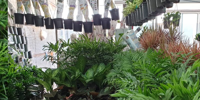 بازار گل محلاتی