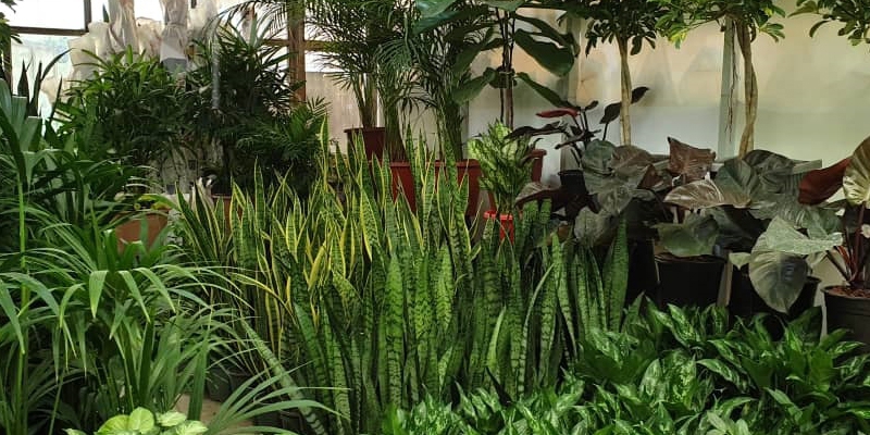 بازار گل محلاتی