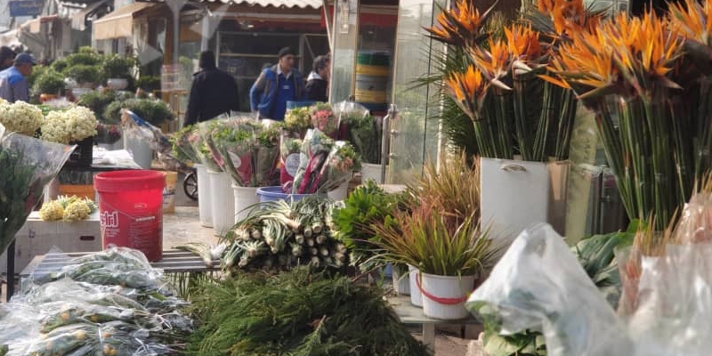 بازار گل محلاتی