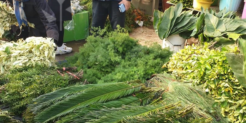 بازار گل محلاتی