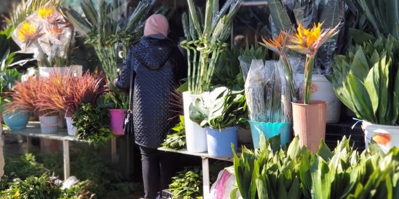 بازار گل محلاتی