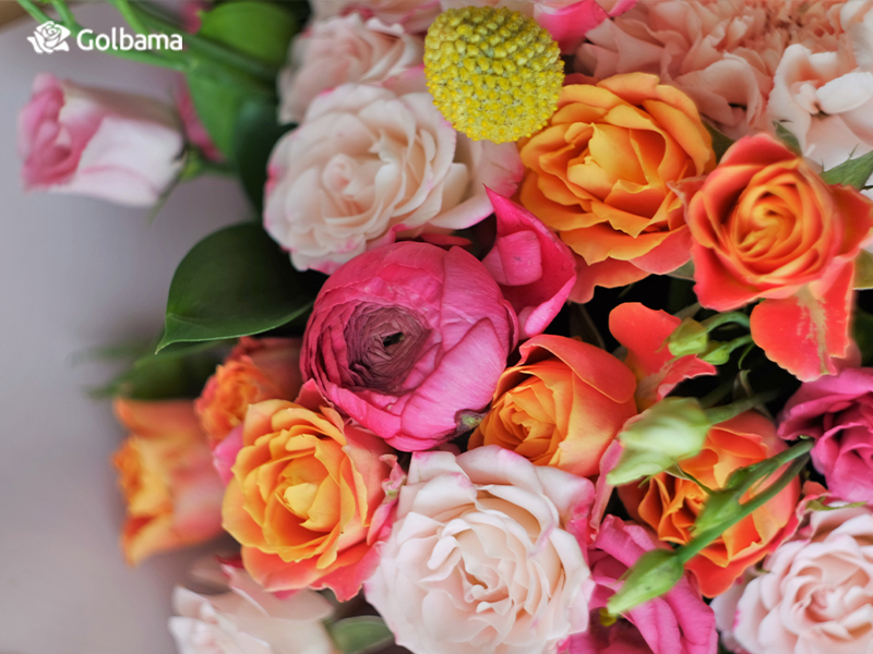 گل لیسانتوس و رنگ‌های مختلف آن