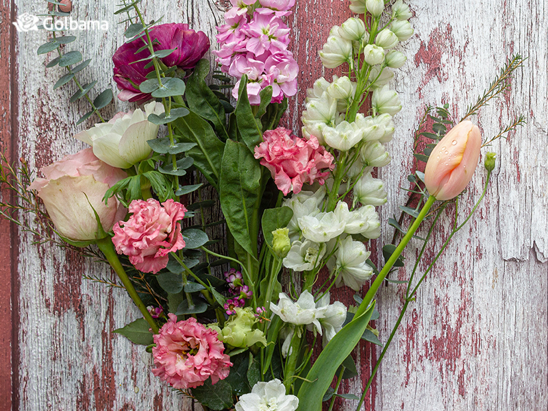 گل لیسانتوس