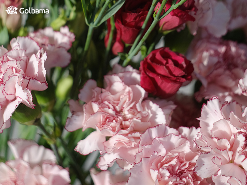 گل‌ها را از میوه‌ها دور نگه دارید