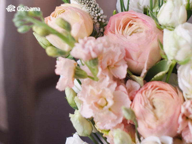 لیسانتوس صورتی پاستلی