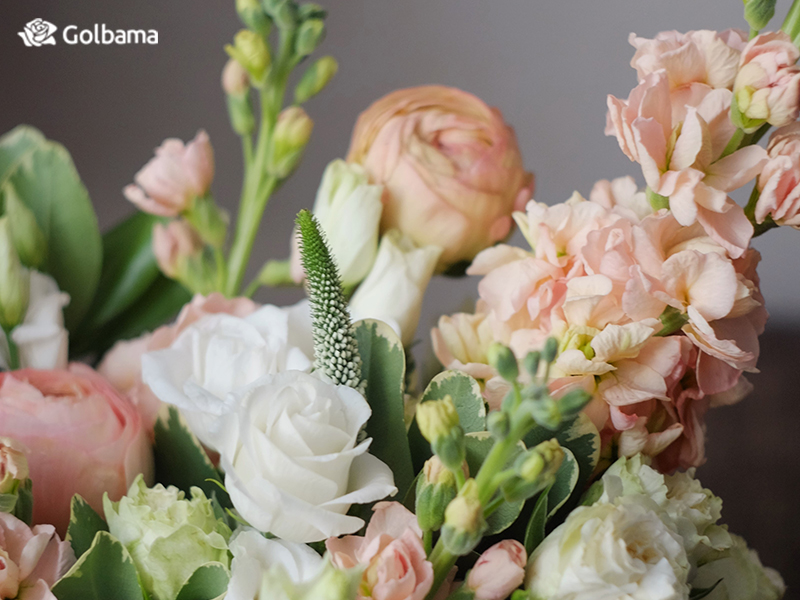 نکات نگهداری از گل شاخه‌ای لیسانتوس