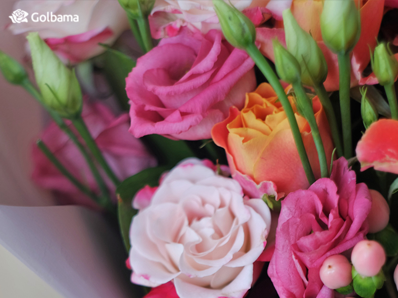 راهنمای خرید و تزیین گل لیسانتوس