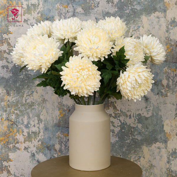 کاشت گل داوودی و مزایای آن