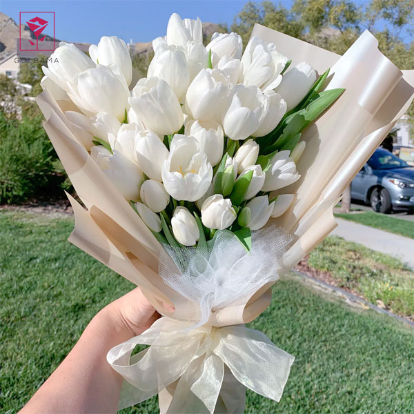 گل لاله سفید